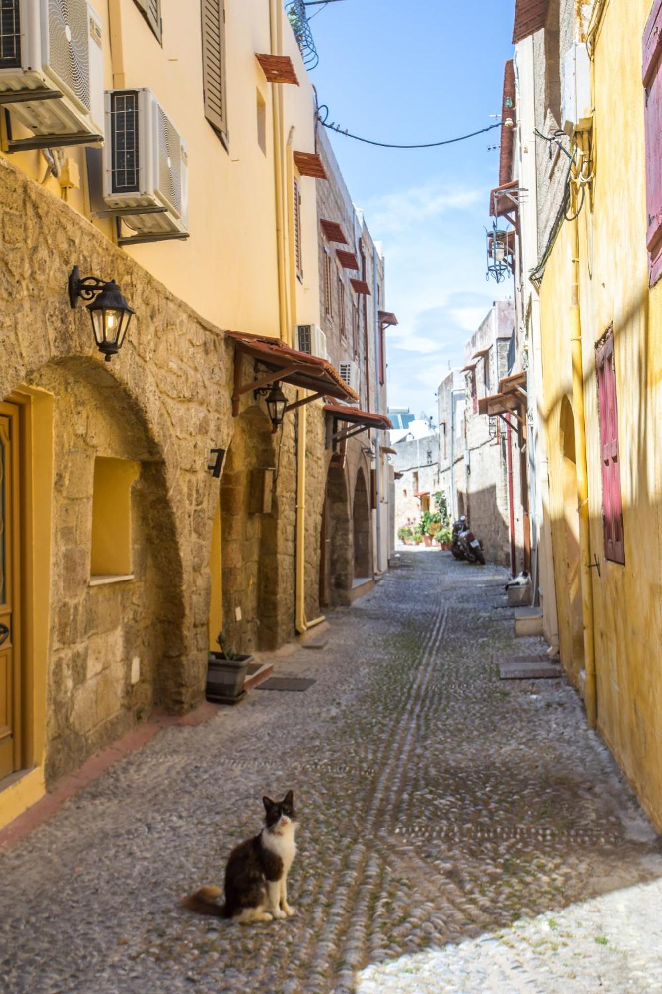 Alexandras Stone House Vila Rhodes City Exterior foto